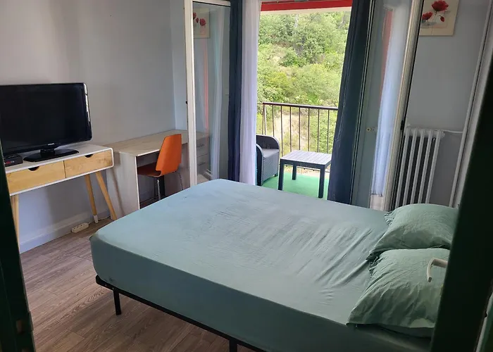 Private Room-2 In Hannana Apartment- 2 Min Walk To Tram 12 Min To Nice Train Station 15 Min To Massena Place
